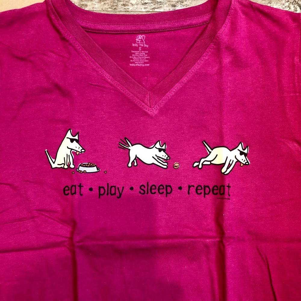 Teddy the Dog Eat Sleep Play Repeat